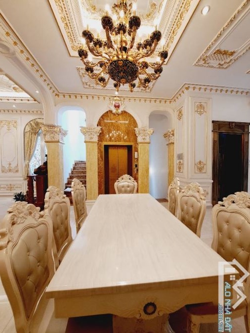 BIỆT THỰ LỘNG LẪY SIÊU VIP, KHU CƯ XÁ BẮC HẢI, 325m2, 69 TỶ - 3