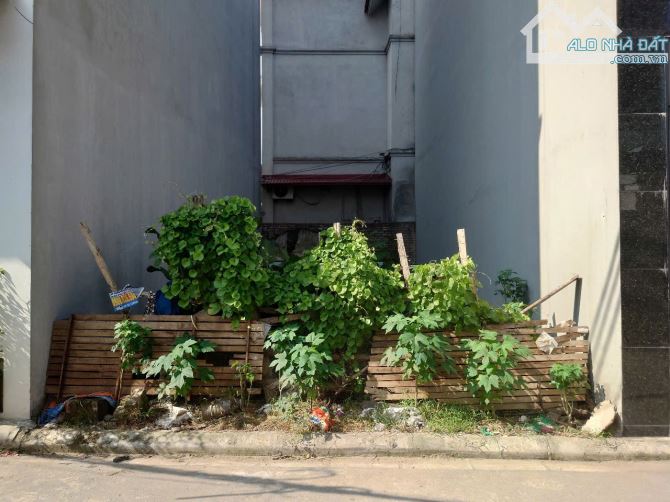💥💥💥Bán lô đất cực hiếm, đường Cổng Ra, thôn Bầu, Kim Chung, giá đầu tư - 3