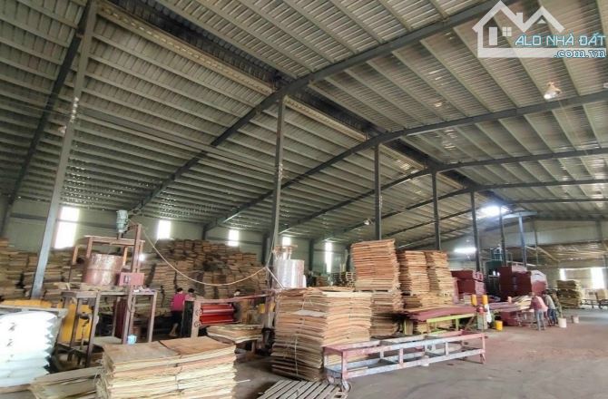 XT528 cho thuê xưởng sản xuất tiếp nhận nhiều ngành nghề ổn định - 3