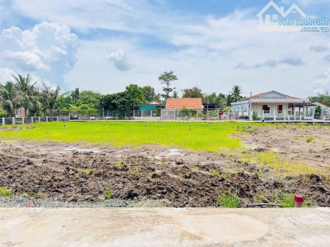 125m2 thổ cư Tân Trụ đường bê tông ô tô tới đất giá 395triệu Sổ Hồng riêng - 3