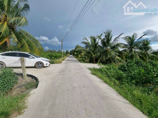 Biệt thự gần 3000m2 2 Mặt tiền liên ấp 5_6 Bình Đức cách 816 chỉ 400m - 3