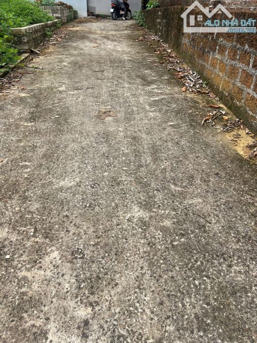 🌟 Bán nhanh mảnh đất 65m² tại thôn Hạ Bằng – Thạch Thất, Hà Nội - 3