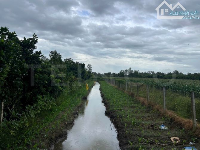 Cho thuê kho xưởng đất 1.291m² kho xây dựng 500m² mặt tiền đường Quốc Lộ 61C, xã Nhơn Ái, - 4