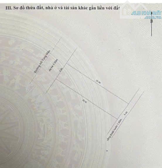 “Cơ hội sở hữu” Đất mặt tiền đg 10m5 Hồ Tùng Mậu | Kinh doanh, 100m2 - 4