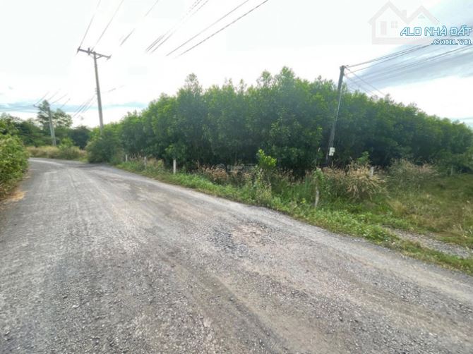 BÁN GẤP LÔ ĐẤT VÀNG ĐẦU TƯ TẠI LONG THÀNH - SỞ HỮU 2 MẶT TIỀN. 2,4 SÀO LONG PHƯỚC - 4