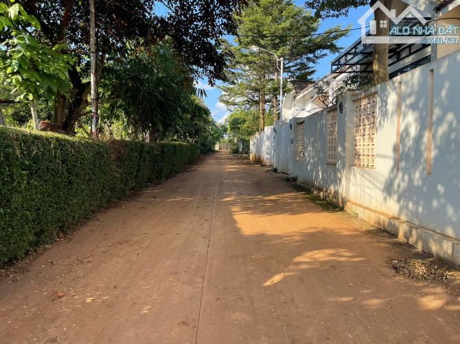 💥Đất TC 7*39m,,Đường A,Phạm Ngũ Lão thôn 6,nhiều lô khác - 4
