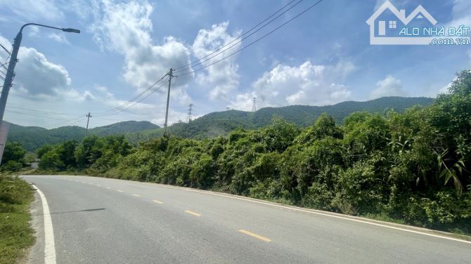 🎉🎉- Tọa lạc tại khu đồi núi xã Hoà Bắc đất trồng cây lâm nghiệp, khai thác du lịch, tắm - 5