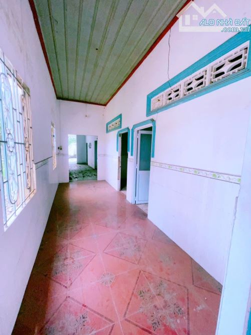 🔥 Nhà cấp 4 siêu rộng 217m², ngay Giáo xứ Bắc Hòa, giá chỉ 2.1 tỷ! - 5