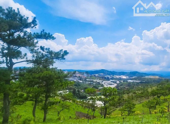 Hơn 3300m2 đất mặt tiền Nguyễn Hoàng P7 Đà Lạt 30 tỷ TL - 5