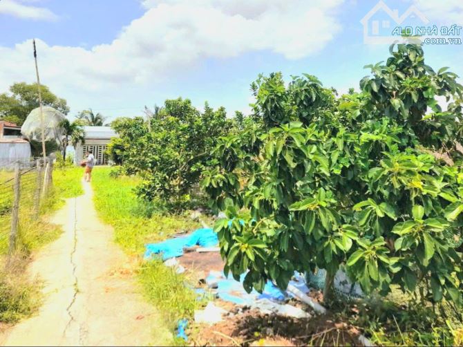 Quá ngộp, 1172m2 đất thổ 22 x 51m, KDC Mỹ Thạnh, chốt 850 tr - 5