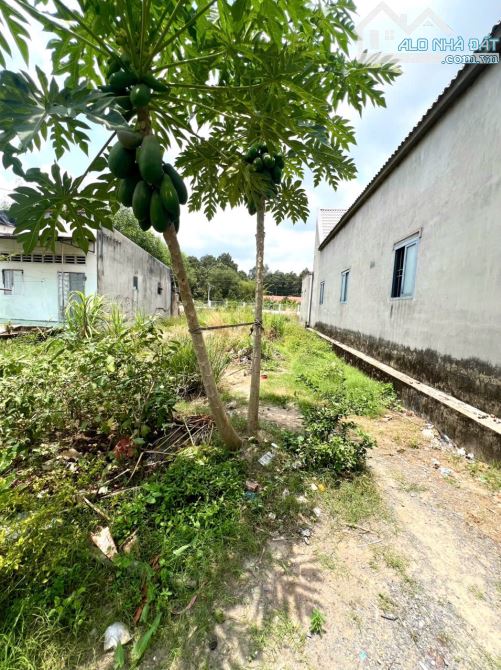 BÁN LÔ ĐẤT CHIÊN LƯỢC GẦN SÂN BAY LONG THÀNH - 6
