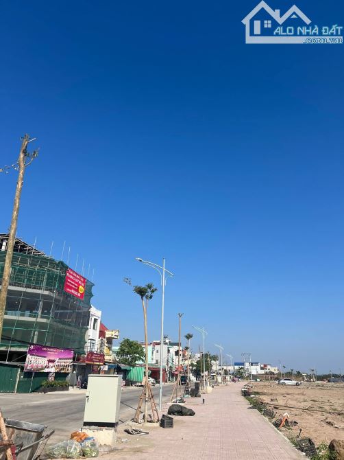 Đấu giá Đồng Nẻo Đồ Sơn Hải Phòng - 6