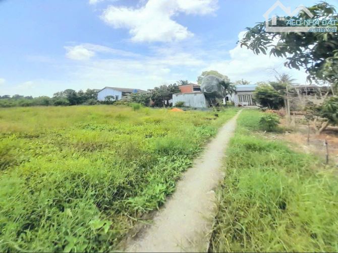 Quá ngộp, 1172m2 đất thổ 22 x 51m, KDC Mỹ Thạnh, chốt 850 tr - 6