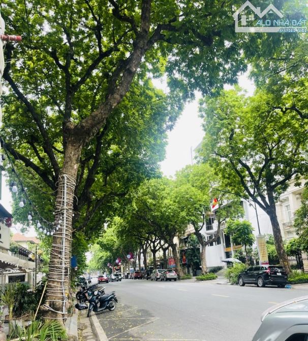 MẶT PHỐ TRẦN HƯNG ĐẠO -TOÀ NHÀ 12T ĐẲNG CẤP 312m - Dòng tiền tốt - Nơi an trú xứng tầm! - 7