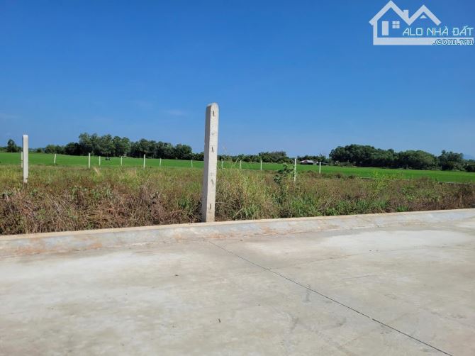 5x39 có thổ, gần cổng KCN. Đường bê tông. 350tr - 7