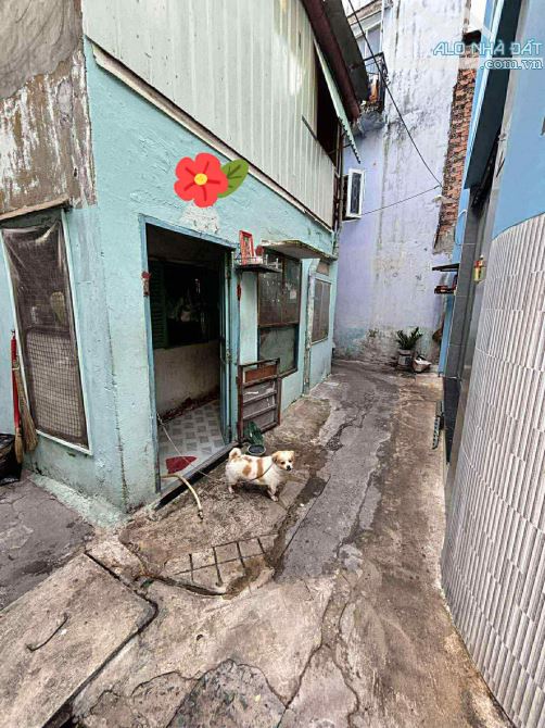 🇻🇳Quận 10,Lê Hồng Phong,dt3,5m/nở hậu 7,2mx6,5m,giá:5,3 tỷ - 9