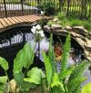 Nhà Vườn Tâm Huyết Bán Nhanh 4844,9M Diên Thọ Diên Khánh