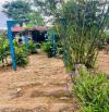 ĐẤT VƯỜN 609m2 ĐƯỜNG 19/5 GIÁ 990 TRIỆU