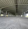 CHO THUÊ XƯỞNG MỚI XÂY 6500M2 - 8000M2 MT QUỐC LỘ 62 TÂN AN, LONG AN