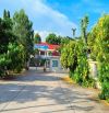 Đất đẹp đối diện trường học Long Mỹ- cách biển Phước Hải chỉ 3Km:  🌈DT 10x33M - 332,6M2 -
