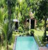 🌿 SIÊU PHẨM VILLA NHÀ VƯỜN – LÔ GÓC 2 MẶT TIỀN – SÁT BIỂN NGUYỄN TẤT THÀNH 🌿