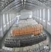 Bán kho xưởng 2.600m² KCN Hải Sơn, Tây Ninh , PCCC tự động, giá: 55 tỷ
