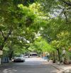 🏡 CHỦ GỬI BÁN LÔ ĐẤT CÓ SẴN DÃY TRỌ –  10 TRIỆU/THÁNG, AN HẢI BẮC, SƠN TRÀ, ĐÀ NẴNG