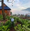 “Sở hữu ngay 1000 m2 đất nghỉ dưỡng tại Bảo Lâm – view đẹp, đất rộng, sổ hồng sẵn sàng”