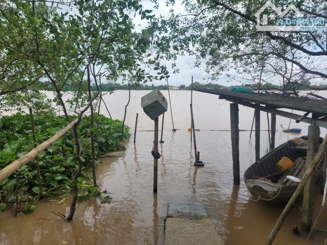 Giảm giá mạnh Khu đất sinh thái Cồn Lục Sỹ Thành dành cho ai muốn bỏ phố về quê miền tây. - 4