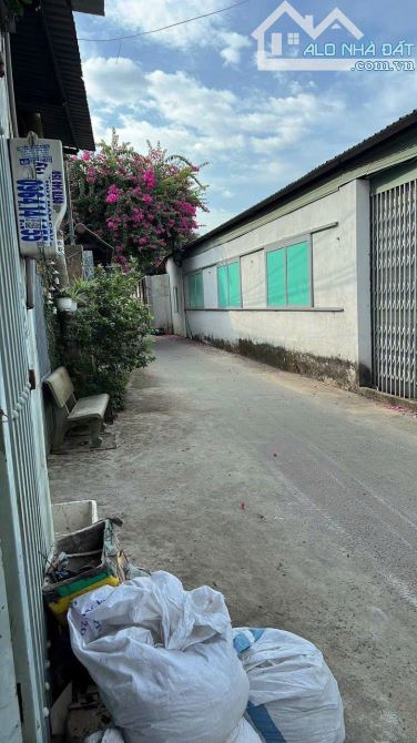 Nhà 6.5x24m Ngay Gốc 2 Mặt Hẻm Đường Đông Hưng Thuận 18, Giá 5.7 Tỷ Thương Lượng