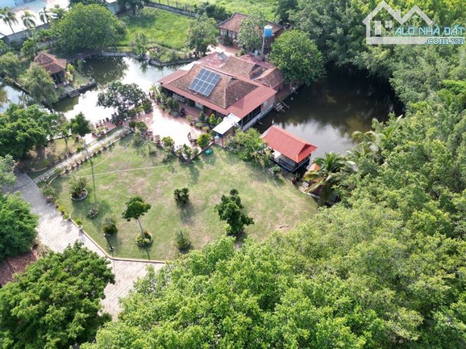 Bán 10000m2 Đất Bình Chánh TPHCM - Sẵn Nhà Vườn Nghĩ Dưỡng - Chỉ 79 Tỉ