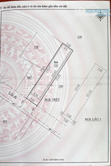 Đà Lạt - Nhà Trọ - Nguyễn Công Trứ - 125m2 - 6,8 tỷ