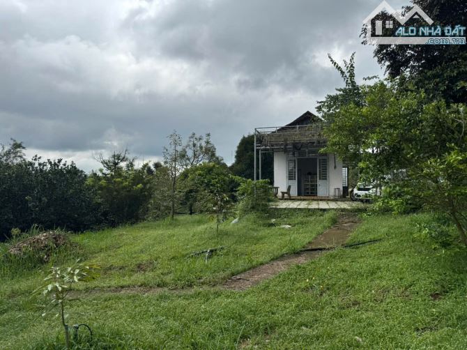 Cần sang nhượng gấp nhà vườn, đất vườn cây trái lâu năm, đường ô tô, giá cực rẻ