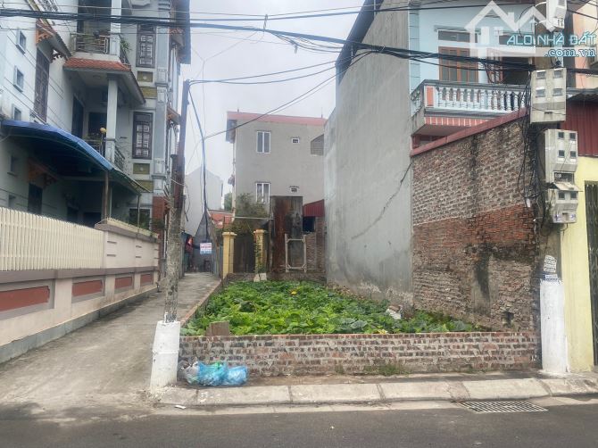 Bán đất tại thạch bàn, long biên, vị trí oto vào đất, lô góc 2 mặt tiền, 45m2, 8,5 tỷ. - 2
