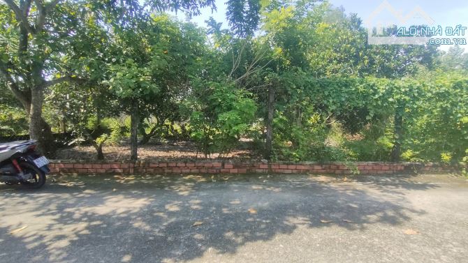 🌳ĐẤT 2 MẶT TIỀN -DT: 584M CÓ 561 THỔ- GIÁ: 7 TỈ 3 – AN PHƯỚC, LONG THÀNH 🌳