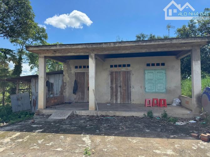 Bán đất 2.8ha view suối lớn có nhà sẵn tại Quảng Hiệp Cư Mgar