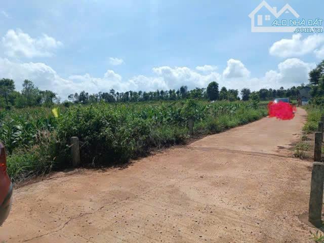 Đất 1.1 sào gần Tỉnh Lộ 2 xã Hoà Khánh gần đường Tránh Đông