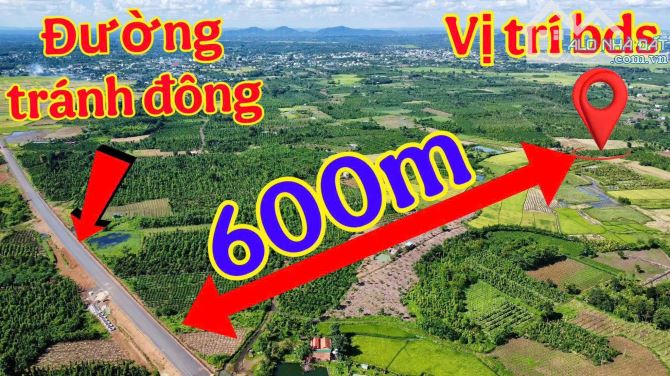 4,2 sào đất trồng cà phê tại xã Hoà Khánh
