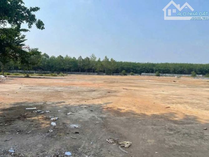 Bán đất SKC  xây dựng kho xưởng tại huyện Phú Giáo, tỉnh Bình Dương cũ