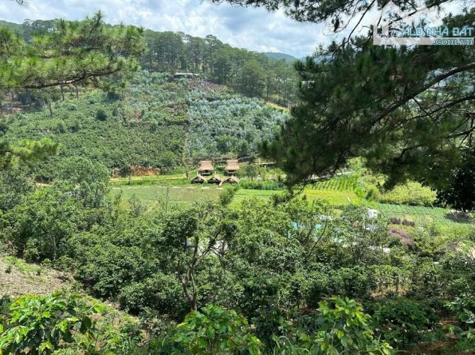 bán lô đất, đường đèo Mimosa đà lat View Đỉnh