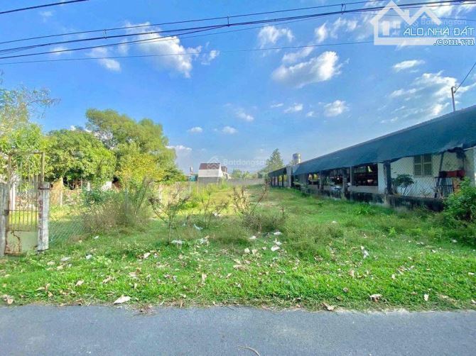 Giá Quá Ngộp ! 273m2 Đất Vườn Tân THông Hội Củ CHi giá chốt 700TRieu Sổ Hồng