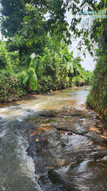Bán gấp đất mt nhựa, giáp suối Đá, đẹp mê ly, xã Nghĩa Thành (xã Đá Bạc cũ),tp HCM