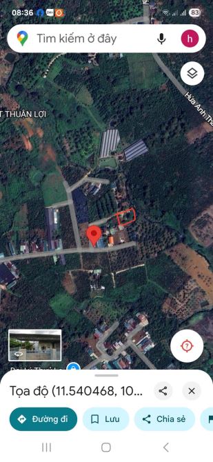 Bán đất chính chủ trung tâm bảo lộc Lâm đồng hợp nhà nghỉ dươxng - 4