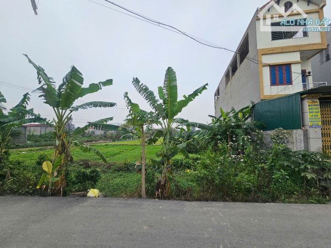 Bán đất chục chính ngọc đôi kim châm dt 121m2 + mt 4.5m hướng nam giá 2.84tỷ
