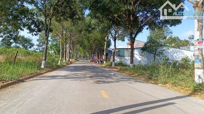 🔥 HIẾM - LÔ GÓC 2 MẶT TIỀN ĐƯỜNG YLINH NIÊ - TÂN HOÀ - DT: 7x24m - H: NAM - 4,6 TỶ