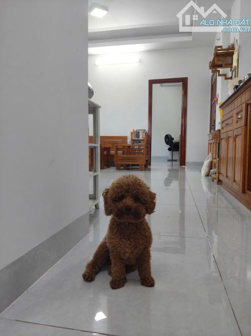 CHO THUÊ CĂN HỘ CHUNG CƯ – P9, VŨNG TÀU