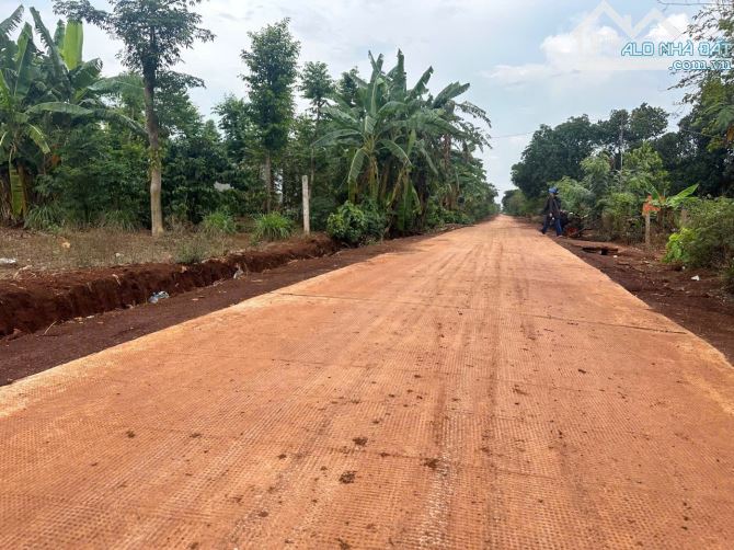 Đất Ea Hdinh huyện Cư Mgar chỉ 185 triệu/1 bìa