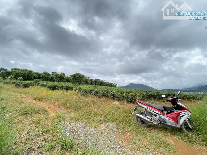 Nhanh mới kịp! Bán vườn đường quốc lộ 20 Đại Lào, phường 3 Bảo Lộc⭐️VIEW CỰC ĐẸP
