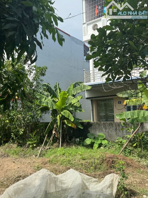Bán lô đất siêu đẹp vuông vắn ngõ 79 Ngõ Bùi Thị Tự Nhiên, Hải An, Hải Phòng
