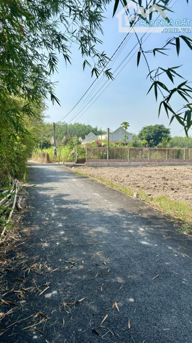 chủ bán gấp 20mét ngang đất sổ hồng thổ cư đường nhựa Tỉnh Lộ 2 giáp củ chi